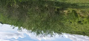 Shamba La Ekari 5 Linauzwa Bago Kiwangwa