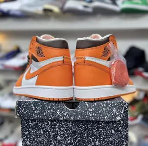 Brand New Air Jordan 1