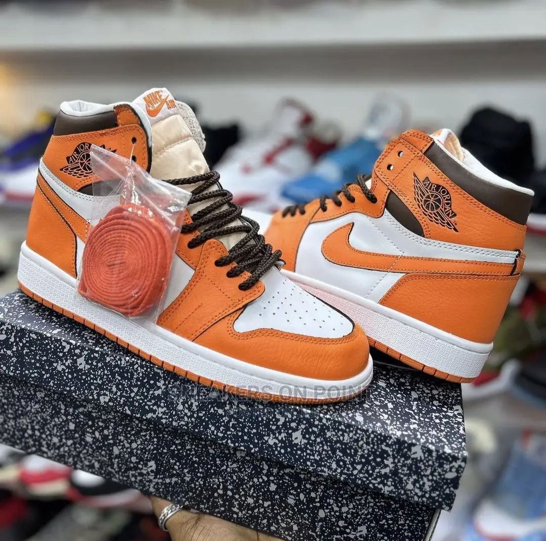 Brand New Air Jordan 1