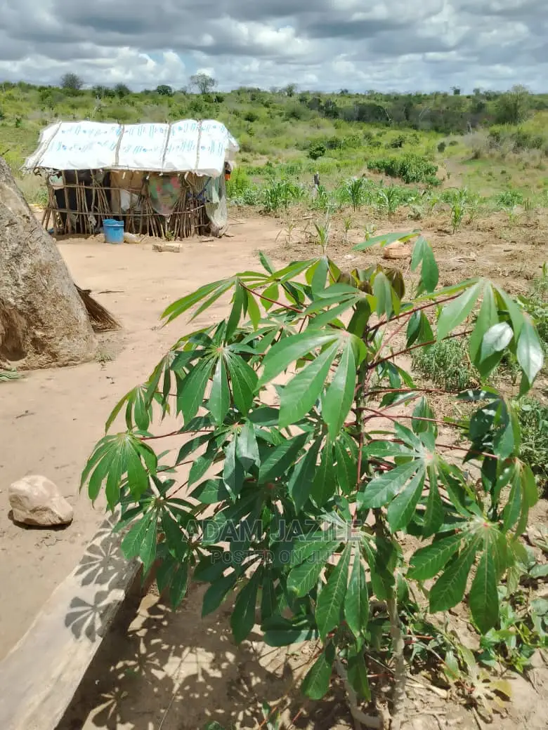 Shamba La Ekari 50 Linauzwa Bago Kiwangwa