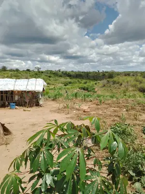 Shamba La Ekari 50 Linauzwa Bago Kiwangwa