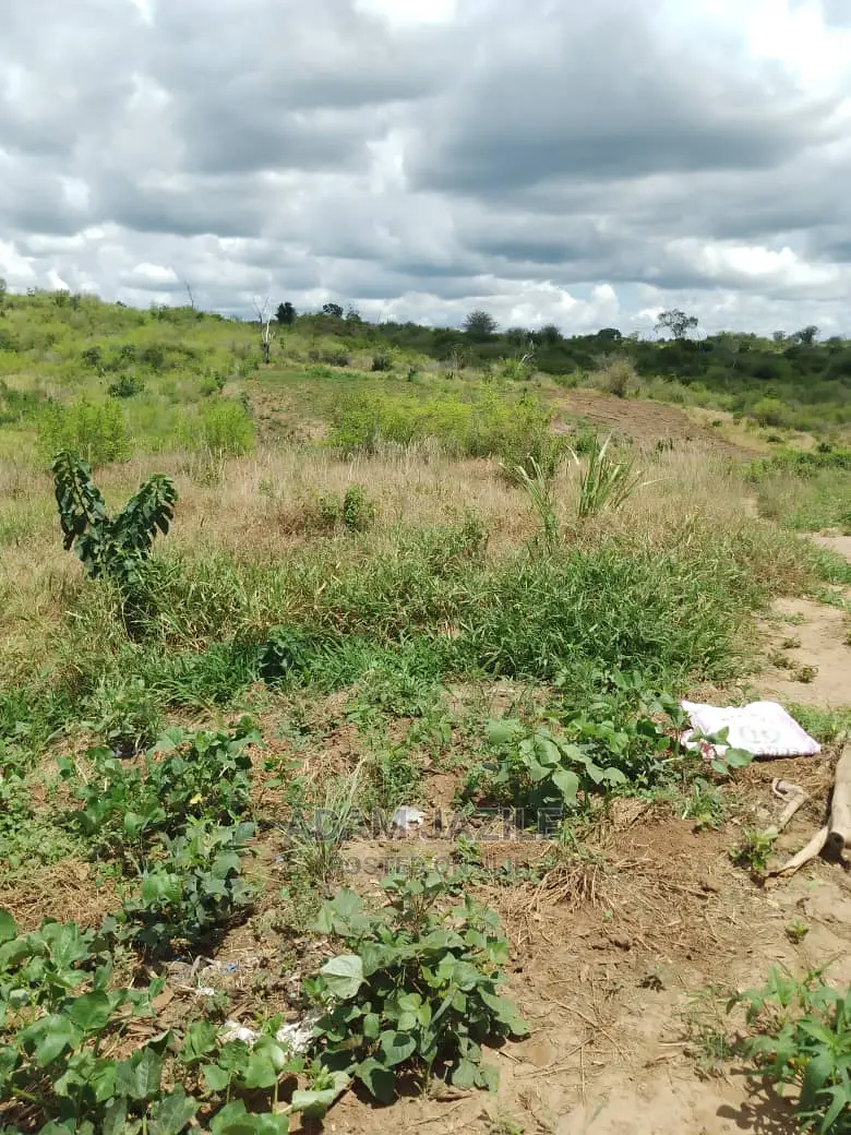 Shamba La Ekari 50 Linauzwa Bago Kiwangwa