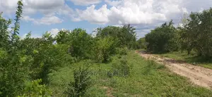 Shamba La Ekari 50 Linauzwa Kiwangwa