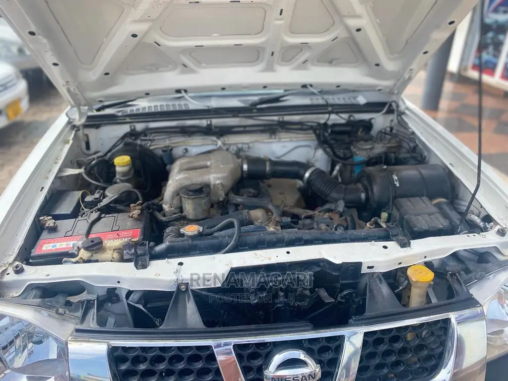 Nissan Hardbody 2012 White