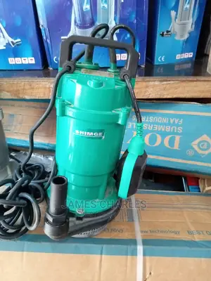 0.75 Shimge Drain Submersible