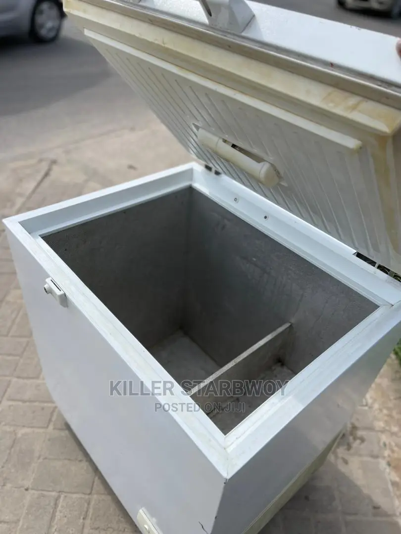 Freezer Lita 250 Clean Mno