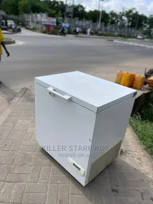 Freezer Lita 250 Clean Mno