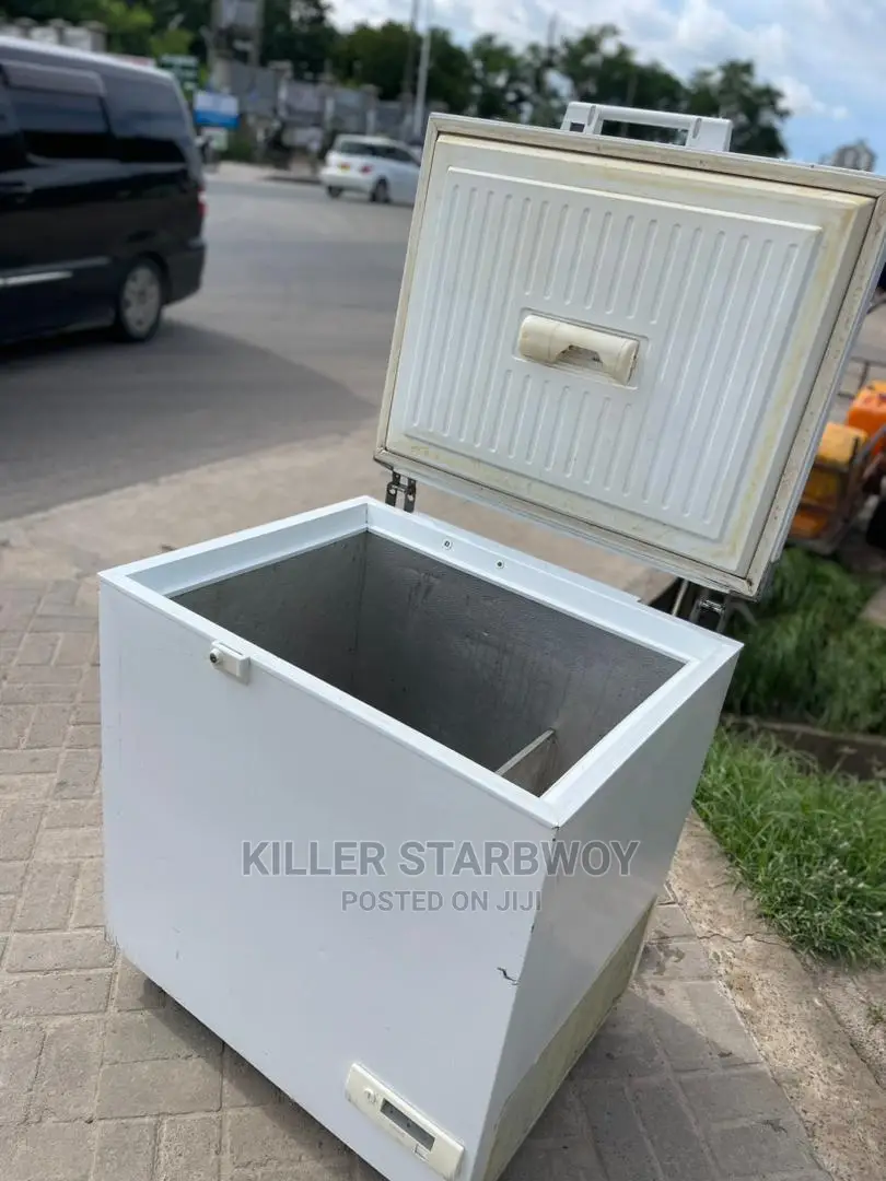 Freezer Lita 250 Clean Mno