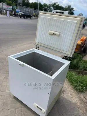 Freezer Lita 250 Clean Mno