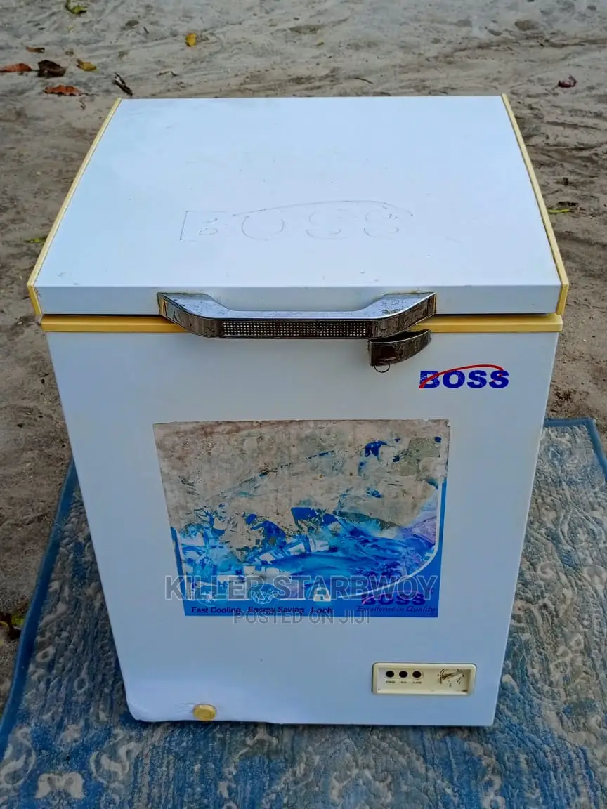 Freezer Lita 100 Boss