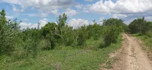 Shamba La Ekari 300 Linauzwa Kiwangwa