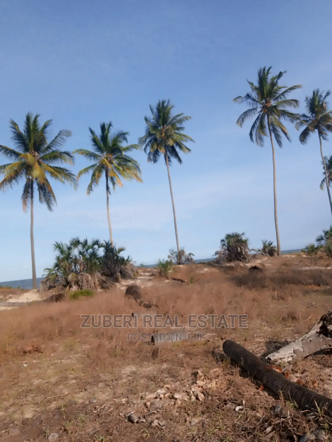 Mafui - Mkwaja Beach Plot for Sale Near Saadani Park.