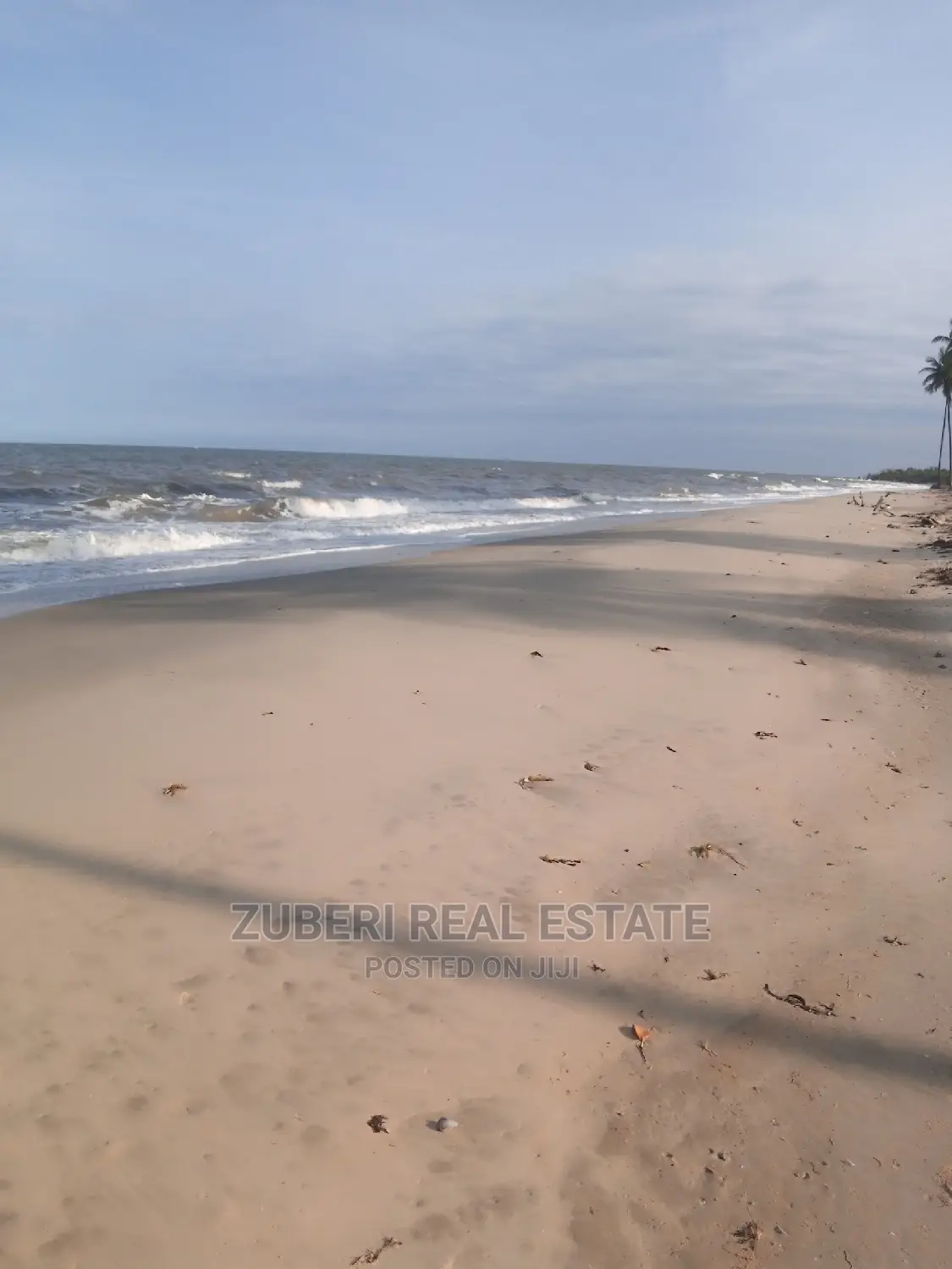 Mafui - Mkwaja Beach Plot for Sale Near Saadani Park.