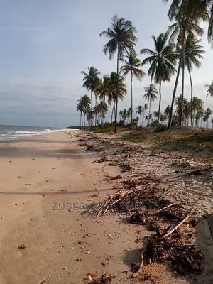 Mafui - Mkwaja Beach Plot for Sale Near Saadani Park.