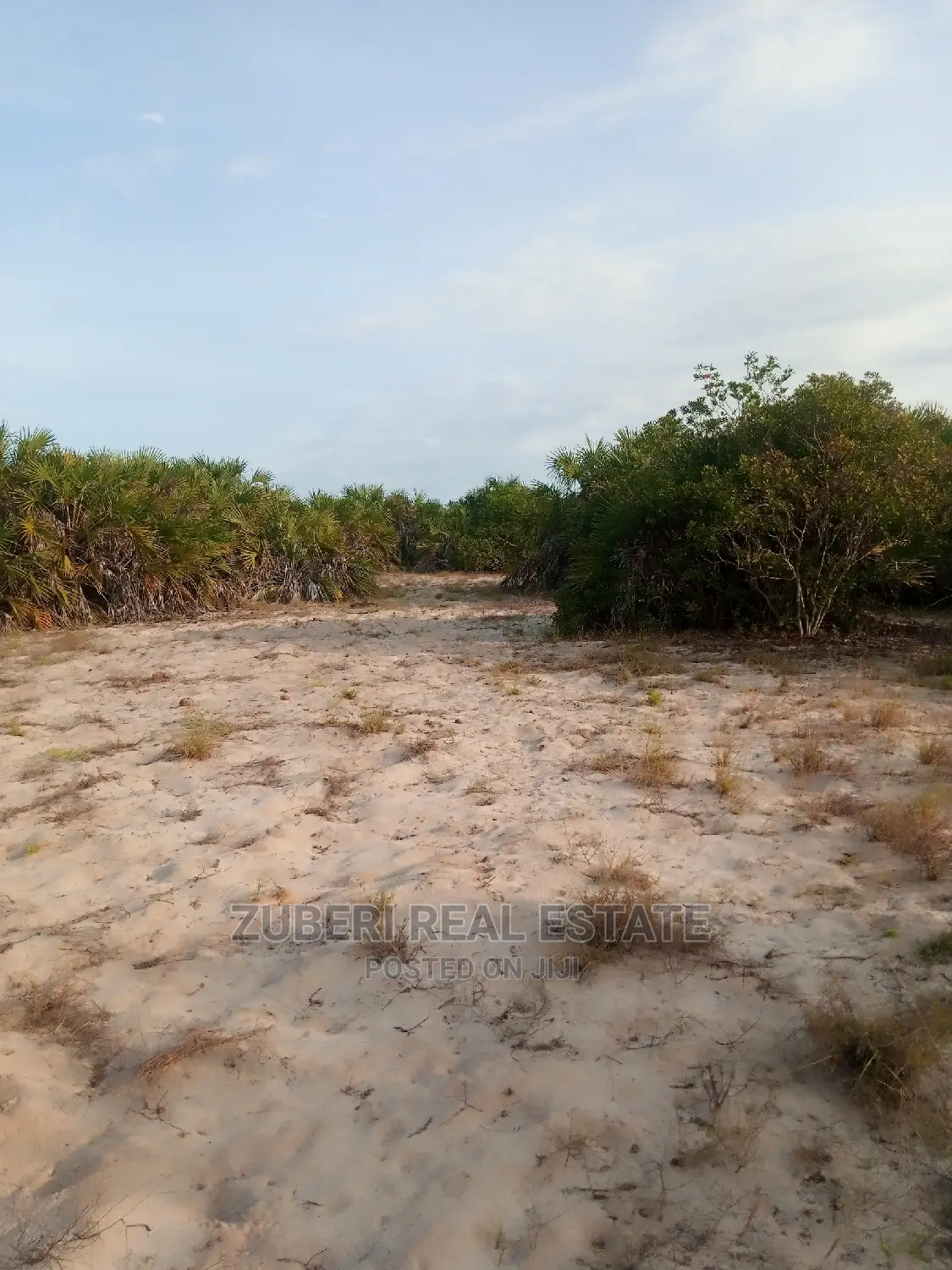 Mafui - Mkwaja Beach Plot for Sale Near Saadani Park.