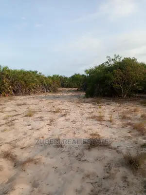 Mafui - Mkwaja Beach Plot for Sale Near Saadani Park.
