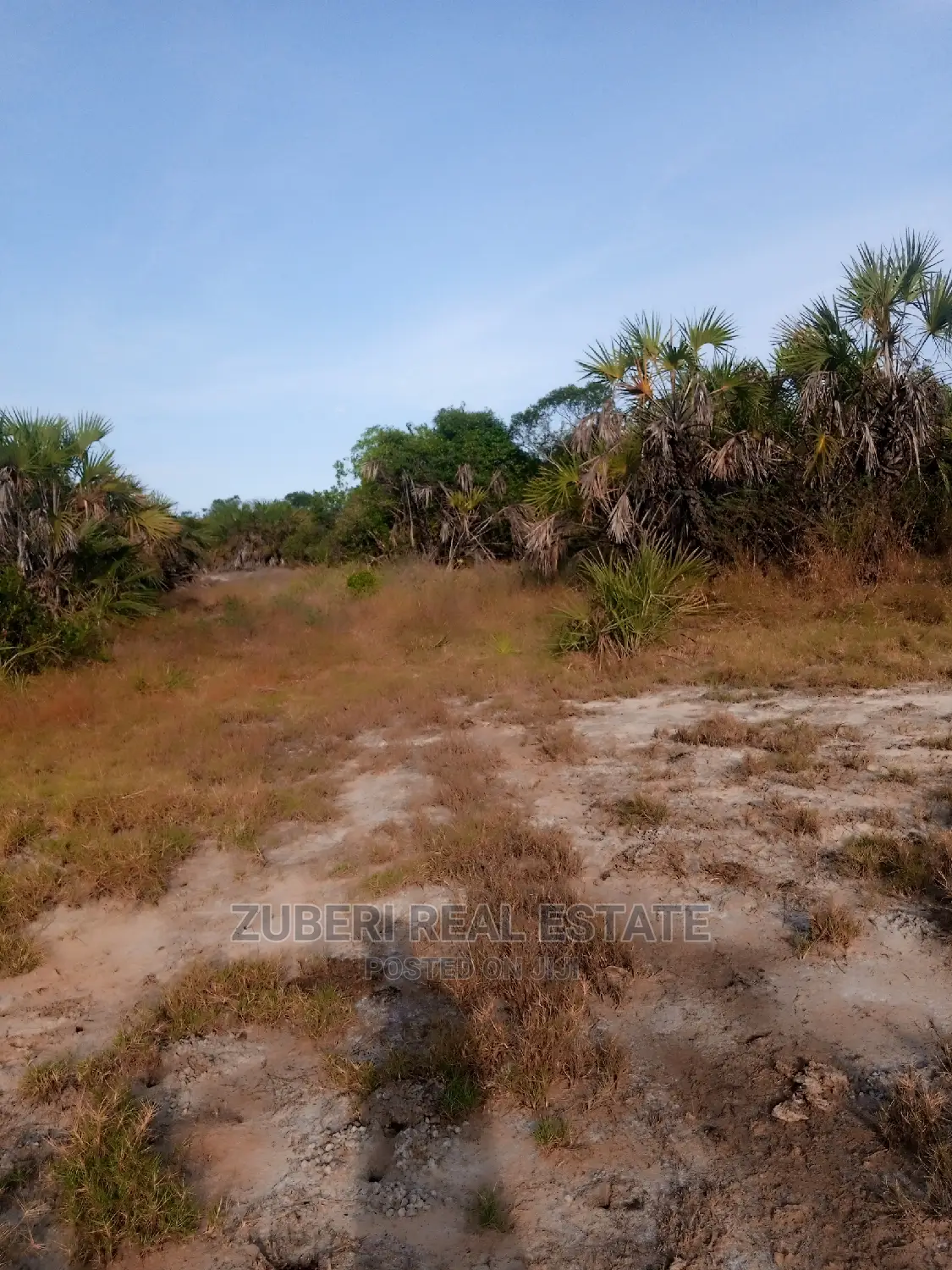 Mafui - Mkwaja Beach Plot for Sale Near Saadani Park.