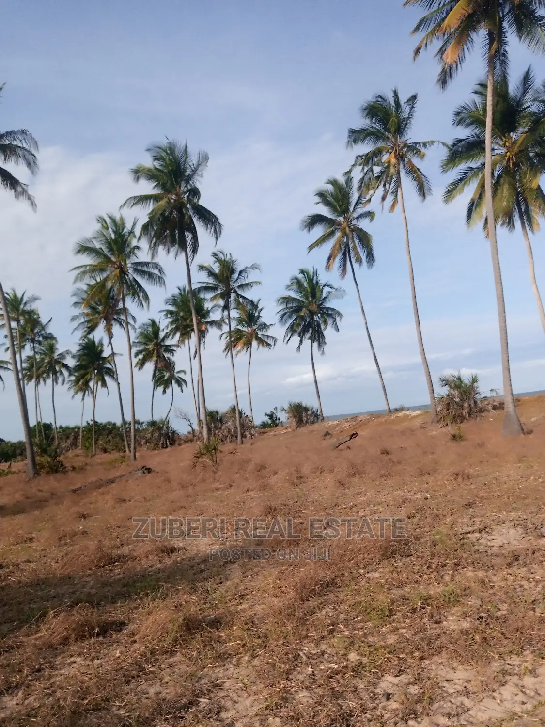 Mafui - Mkwaja Beach Plot for Sale Near Saadani Park.
