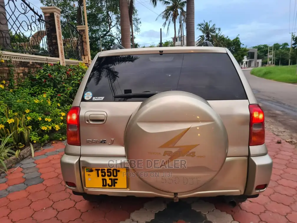 Toyota RAV4 2.0 D 2002 Gold