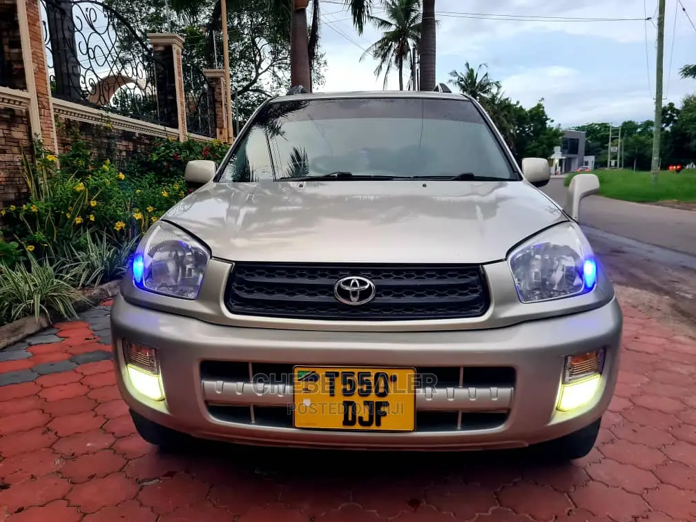 Toyota RAV4 2.0 D 2002 Gold