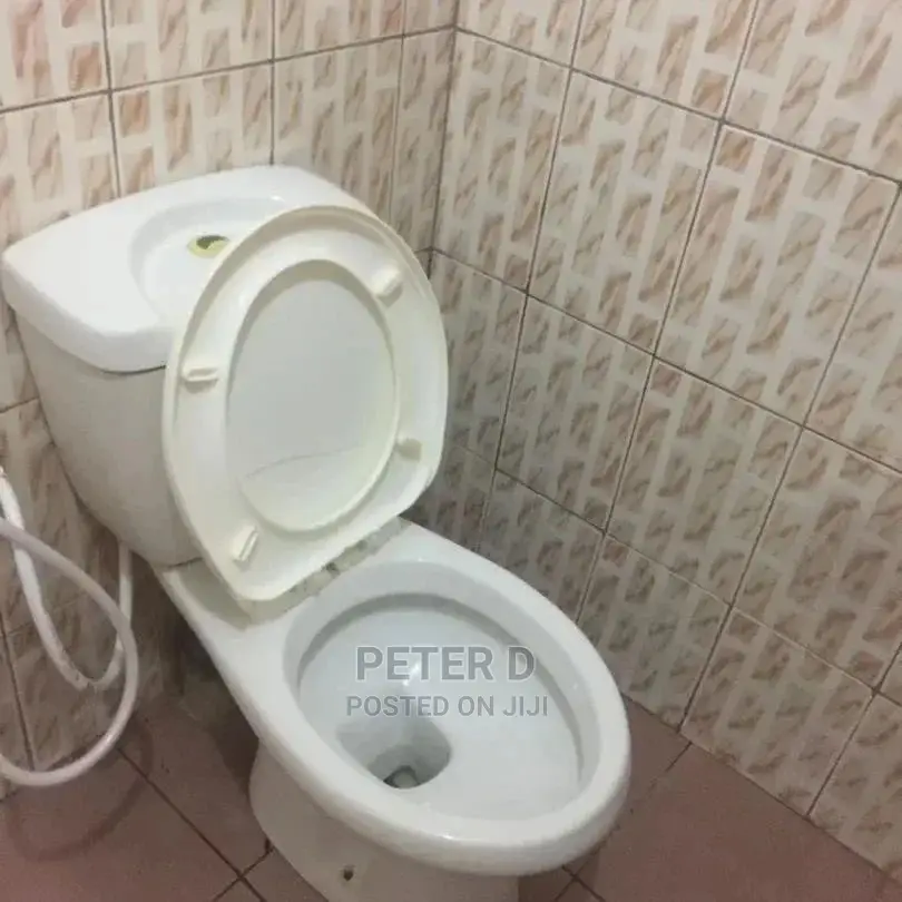 1bdrm Apartment in Kinondoni for Rent