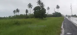 Eneo La Barabarani Linauzwa Bago Kiwangwa