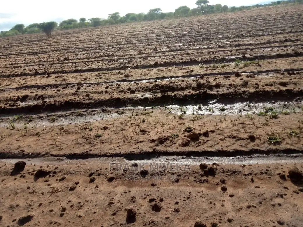 Shamba Linauzwa Heka 100