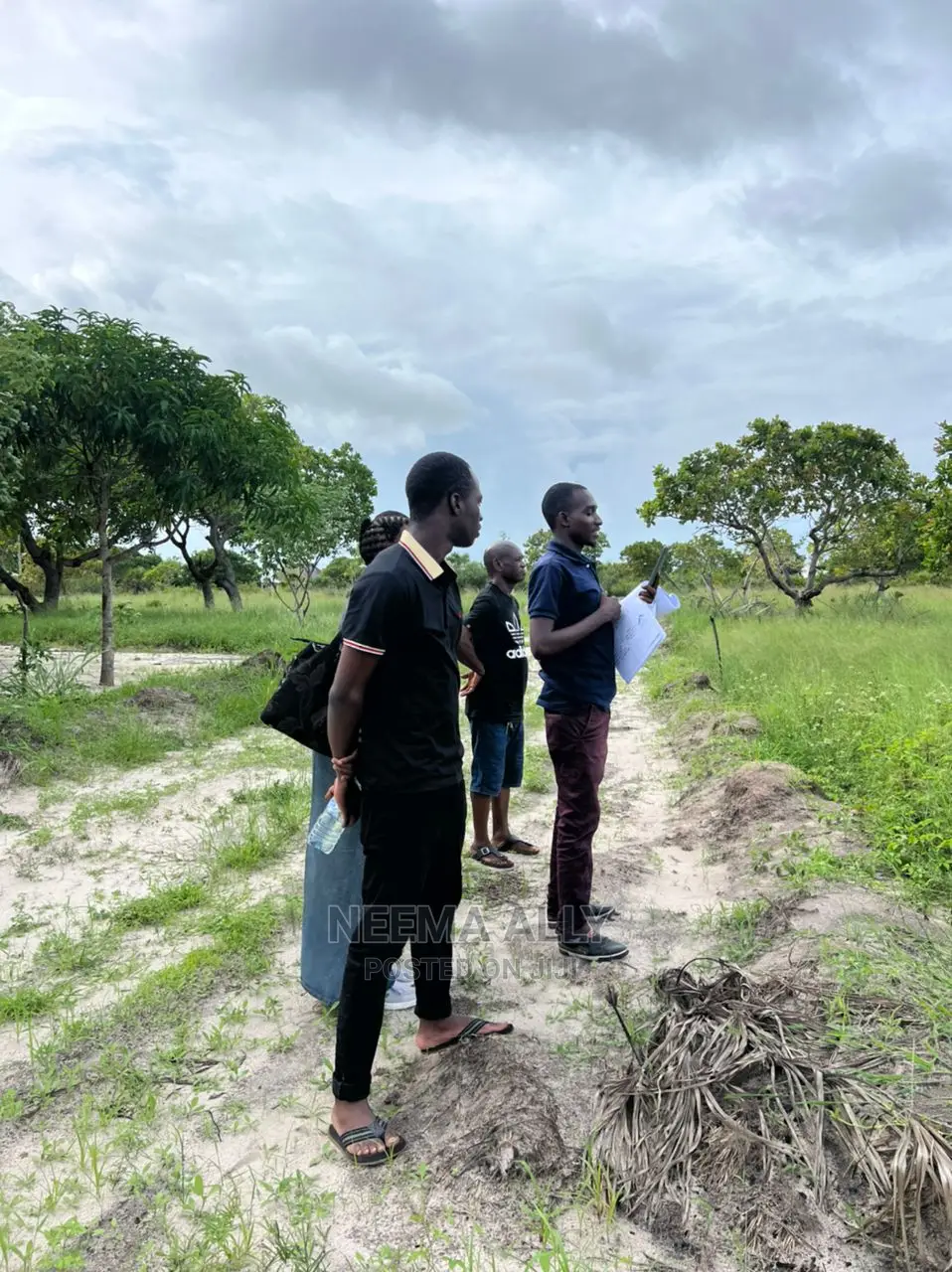 Mbutu Beach Plots  Kichangani