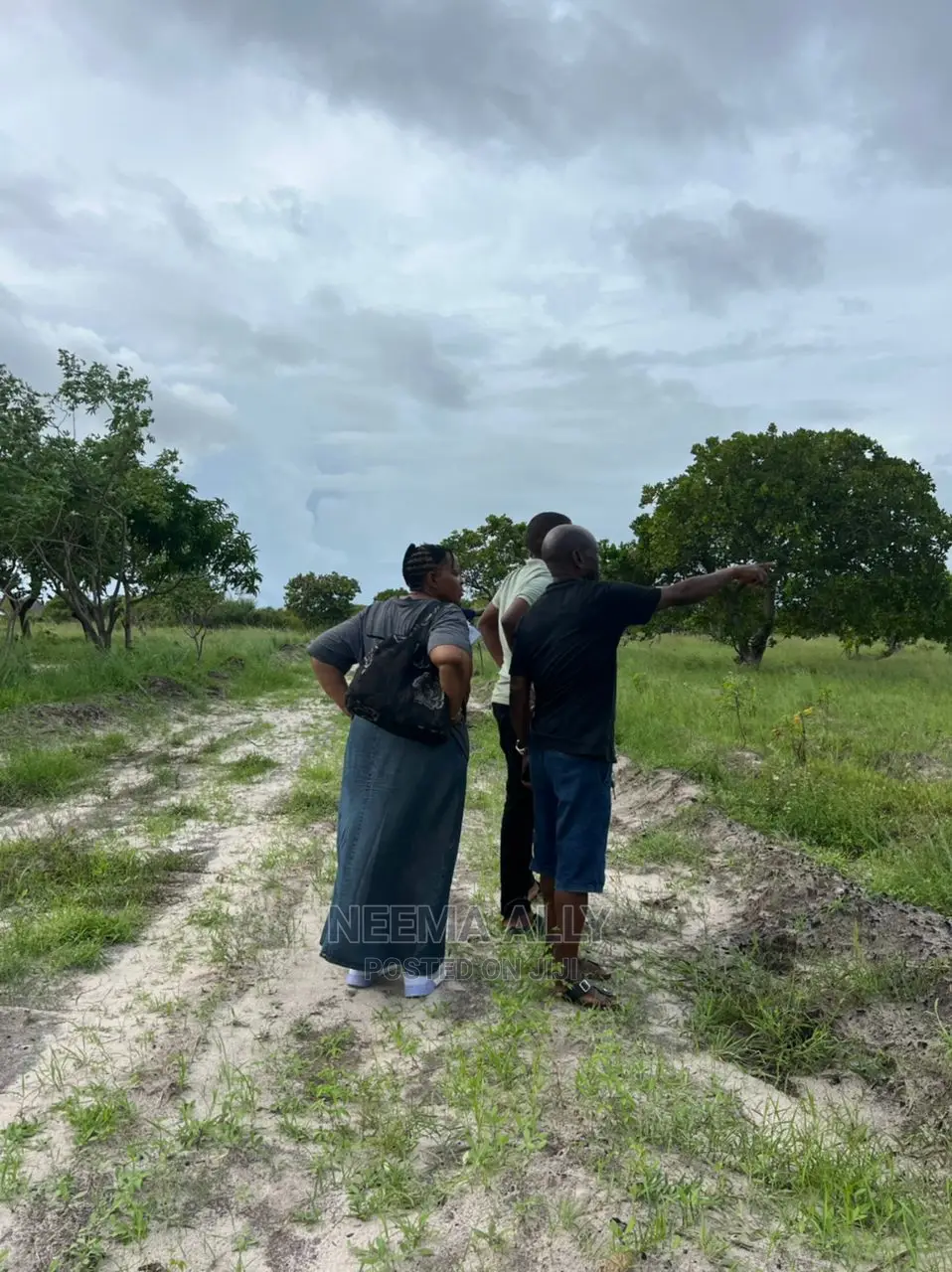 Mbutu Beach Plots  Kichangani