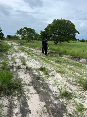 Mbutu Beach Plots  Kichangani