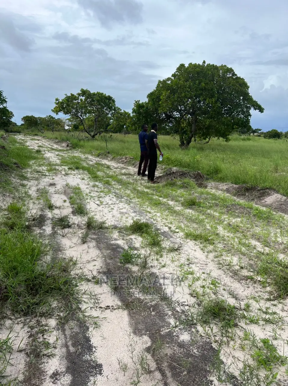 Mbutu Beach Plots  Kichangani