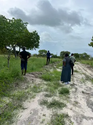 Mbutu Beach Plots  Kichangani