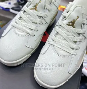 Brand New Jordan 6 Low