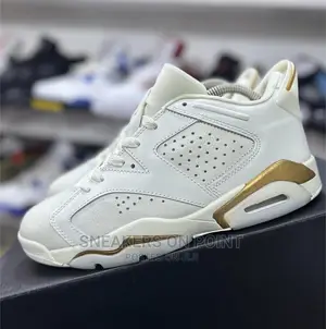 Brand New Jordan 6 Low