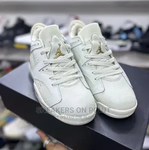Brand New Jordan 6 Low