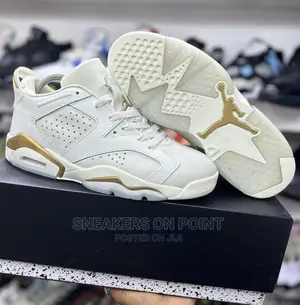 Brand New Jordan 6 Low