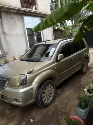 Nissan X-Trail 2.0 Comfort 2005 Silver