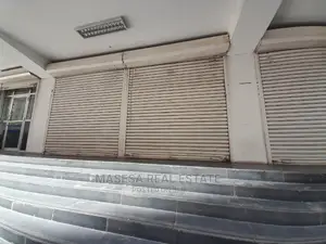 Frame for Rent