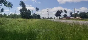 Eneo La Barabarani La Ekari 2 Linauzwa Kiwangwa