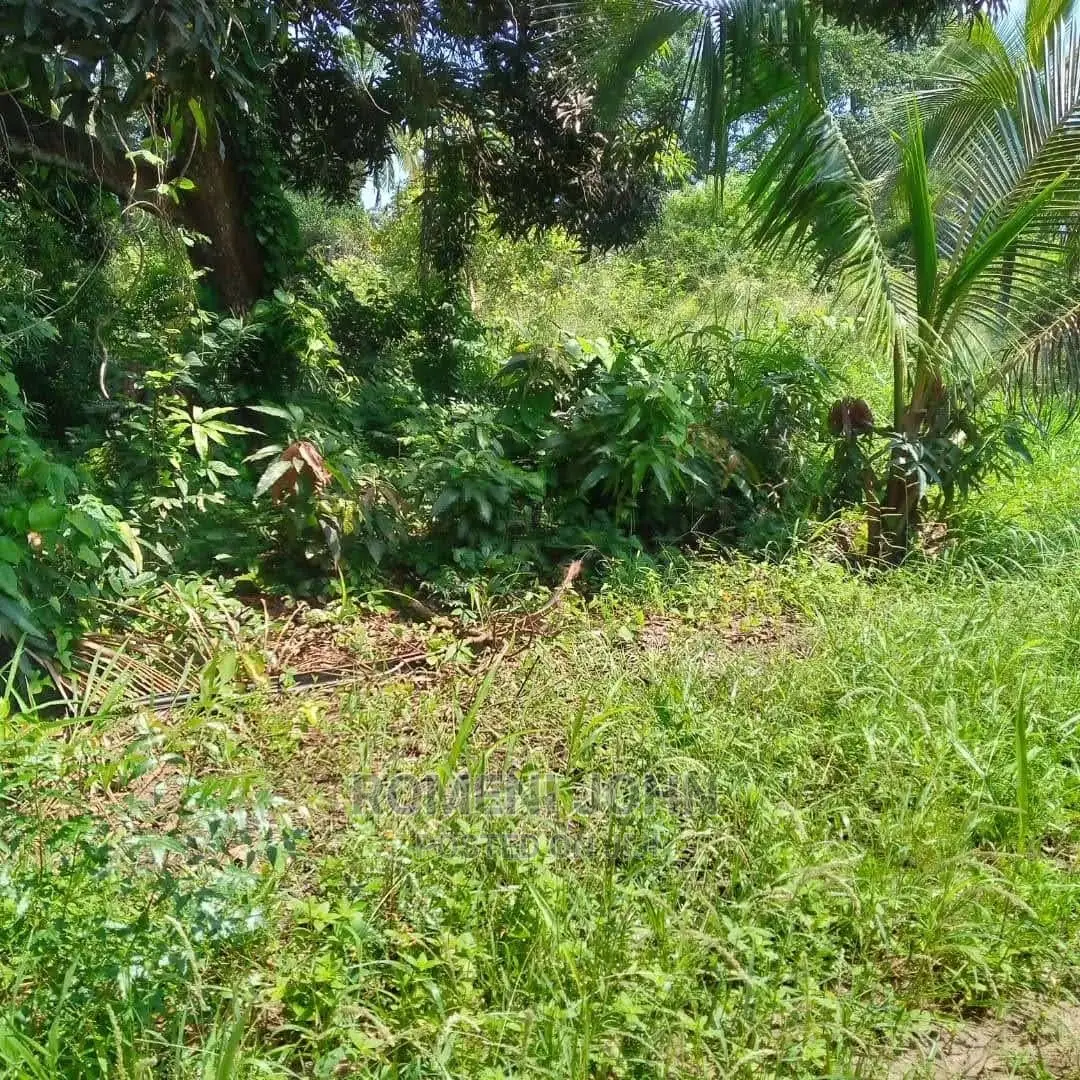Eneo La Kibiashara Linauzwa Milioni 550heka 3 Kibaha.