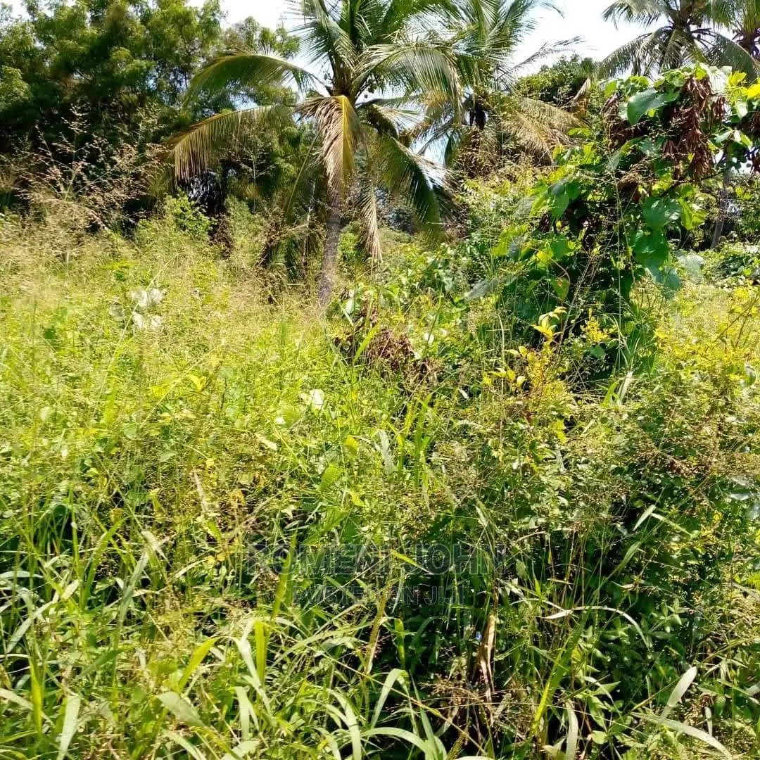 Eneo La Kibiashara Linauzwa Milioni 550heka 3 Kibaha.