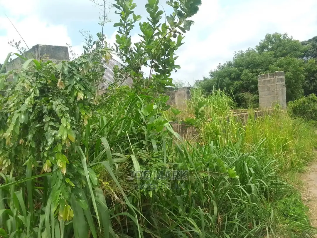A Plot for Sale at Kibaha Visiga
