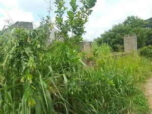 A Plot for Sale at Kibaha Visiga