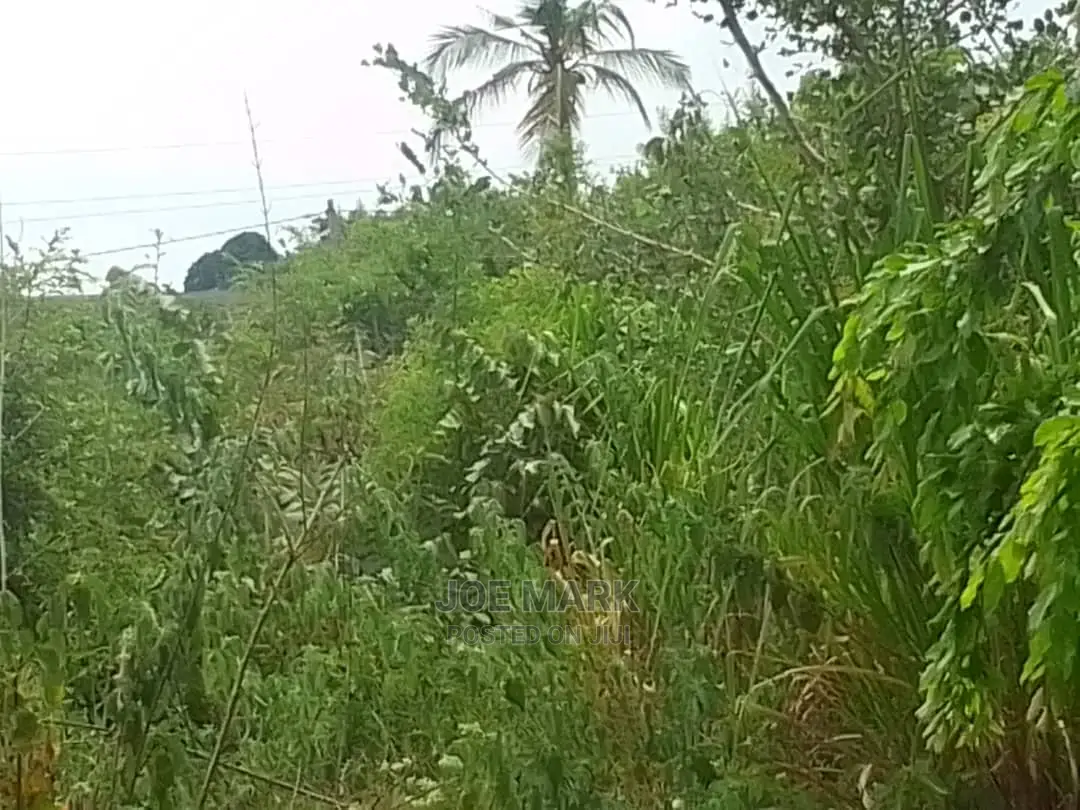 A Plot for Sale at Kibaha Visiga