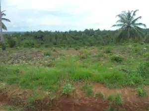 A Plot for Sale at Kibaha Visiga