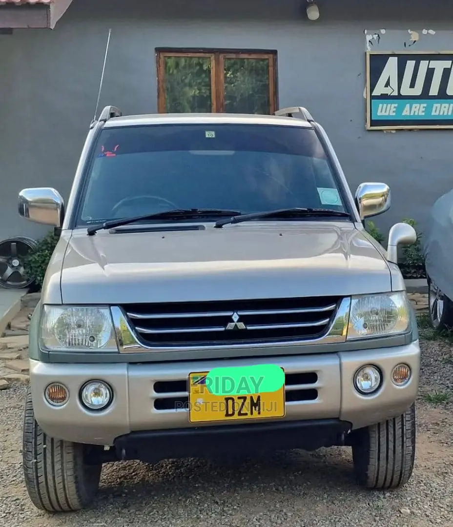 Mitsubishi Pajero 2005 Gray