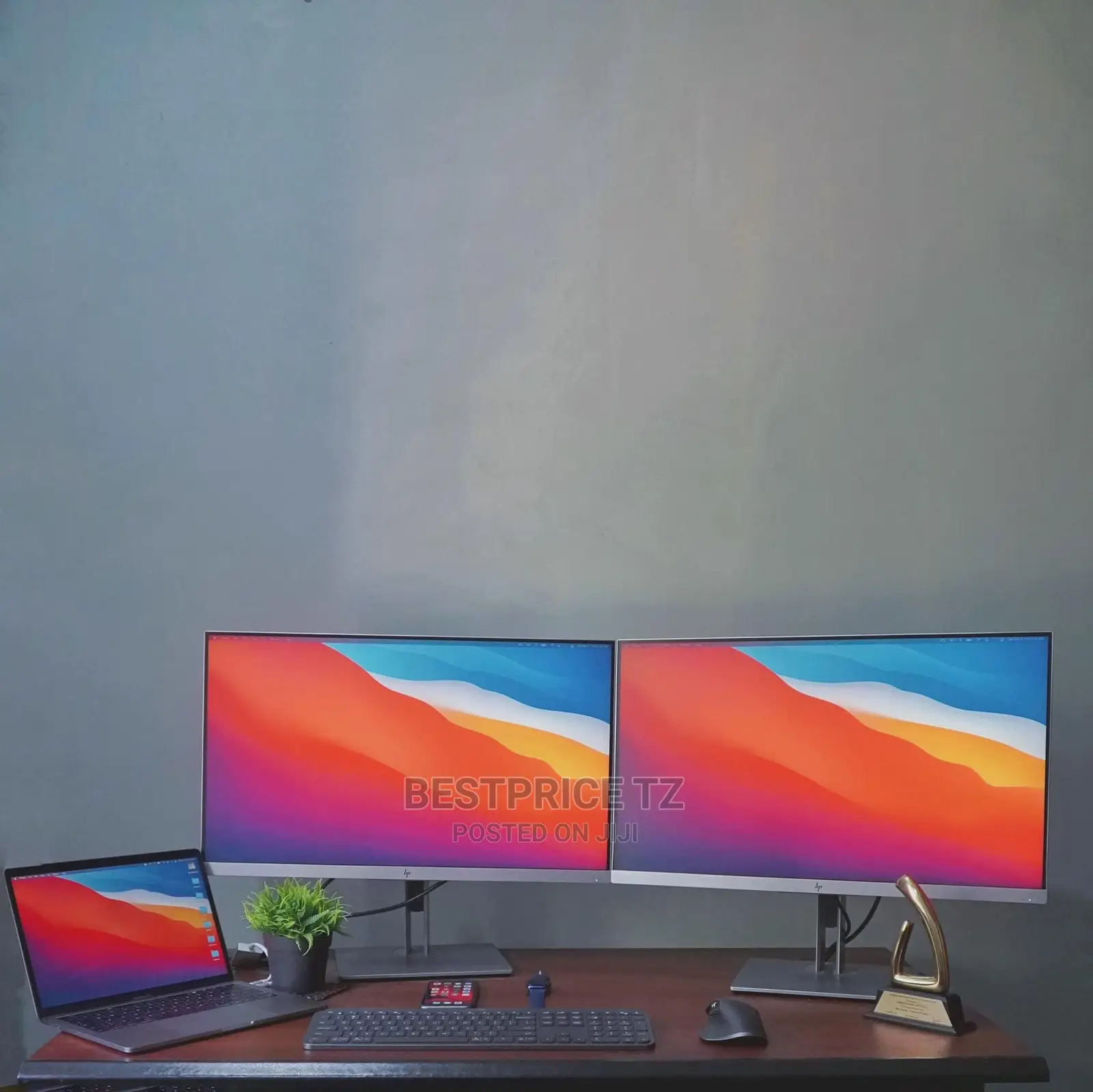 Hp Frameless Monitor 24