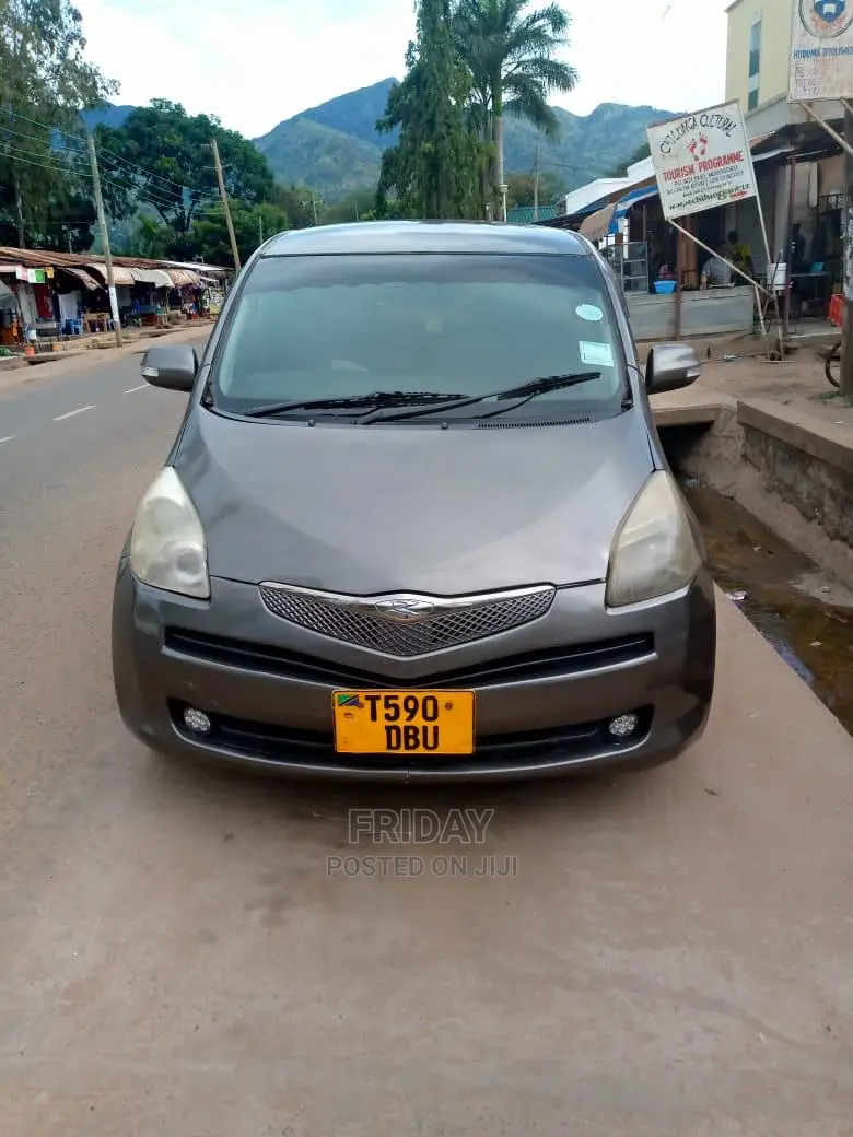 Toyota Ractis 1.5 FWD 2005 Gray