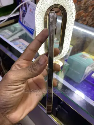 Apple iPhone 13 Pro Max 256 GB Gold
