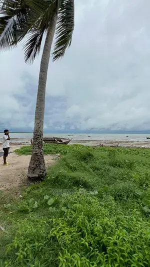 Beach Plots  Puna 